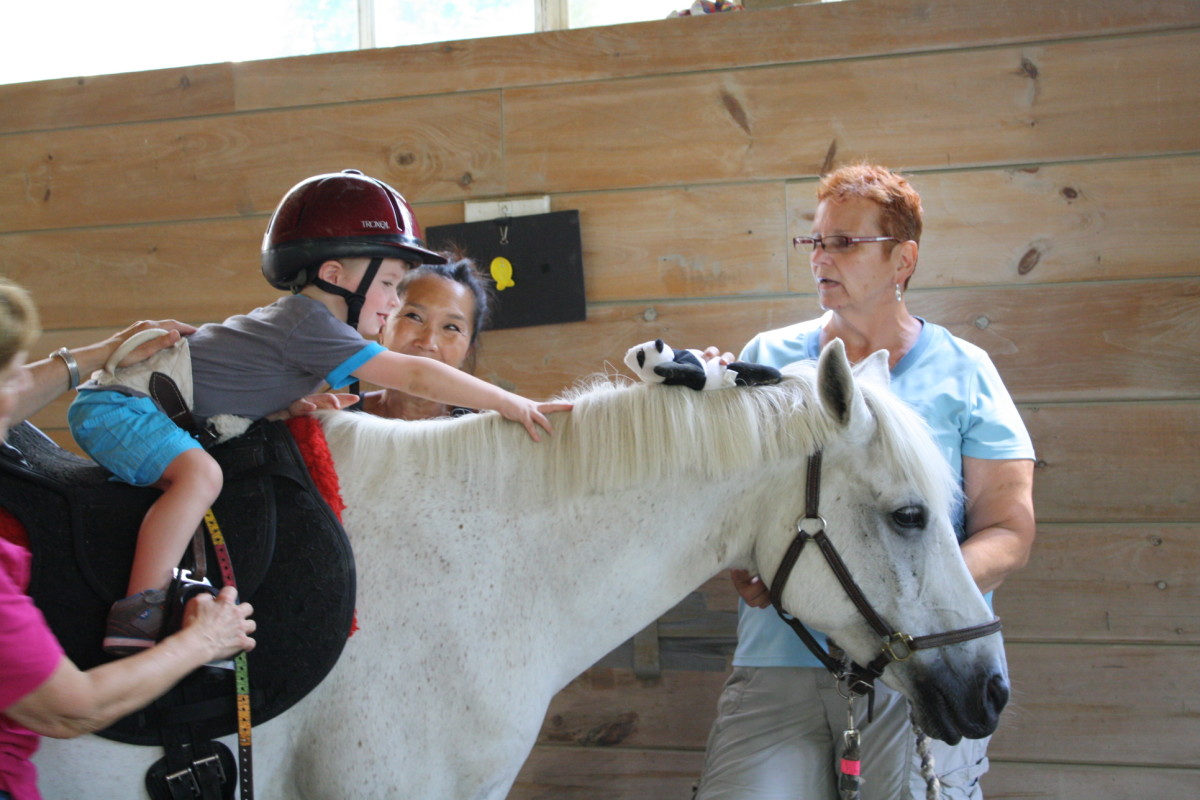 Hippotherapy